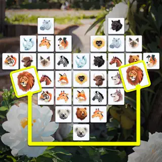 Surprise Onet