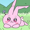 太ももうさぎの大撃腿